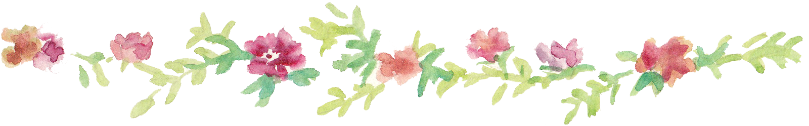 Line Art Flower Png : View topic kalon winner chicken smoothie